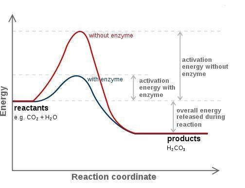 Collisions only result in a reaction if the particles collide with a certain maximum-example-1