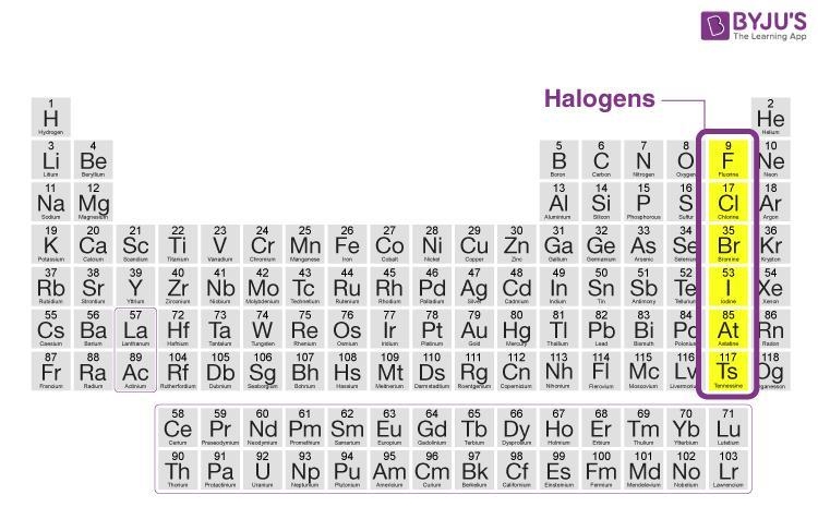 What sre the group 17 elements are known as​-example-1