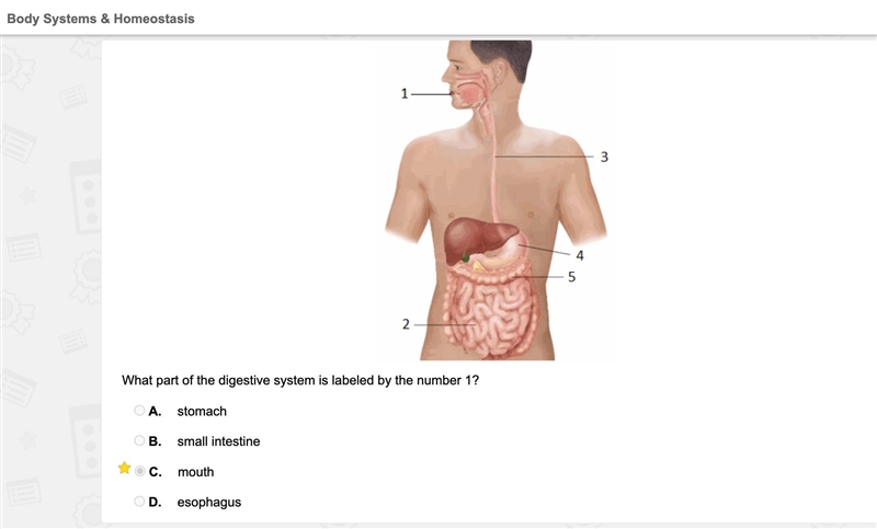 Question: the diagram below shows the major parts of the digestive system. what part-example-1