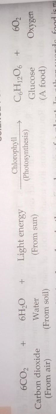 is photosynthesis part of chemical change?If yes can I have photosynthesis in chemical-example-1