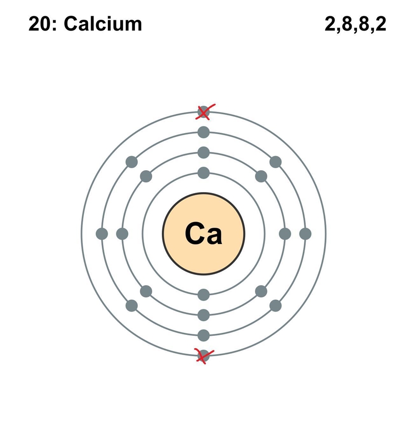 If an atom has three shell and number of valence electrons are two. Is this element-example-2