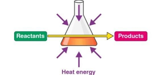 Briefly describe any example of an endothermic reaction and also mention the word-example-1