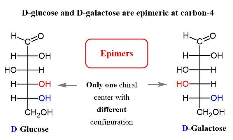 How are glucose and galactose epimers? Kindly describe in brief how this epimer is-example-1