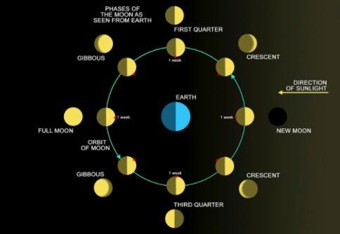 I have a project and I need help with a diagram. What do the moon, sun, and earth-example-1