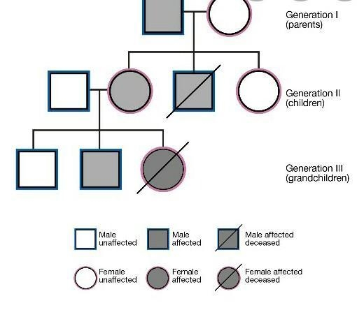 How many boys are in this pedigree?-example-1