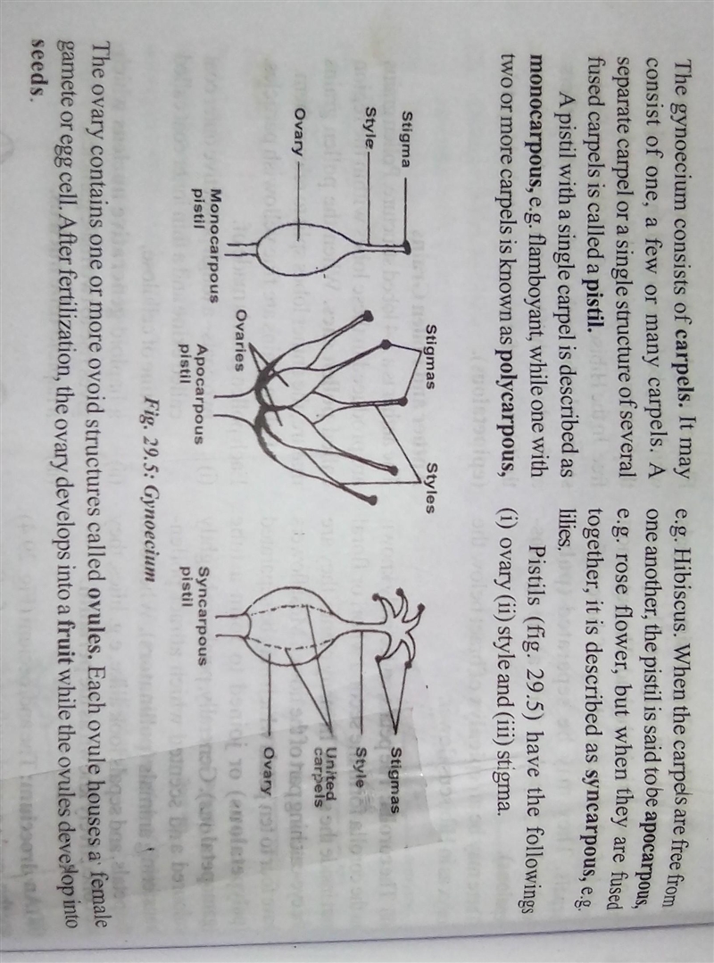 4 main parts of a flower Include the function of each pls help me-example-4