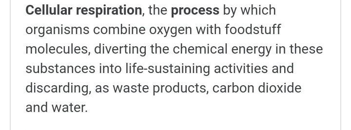 The cells are utilising _______ which are produced during the process of cell respiration-example-1