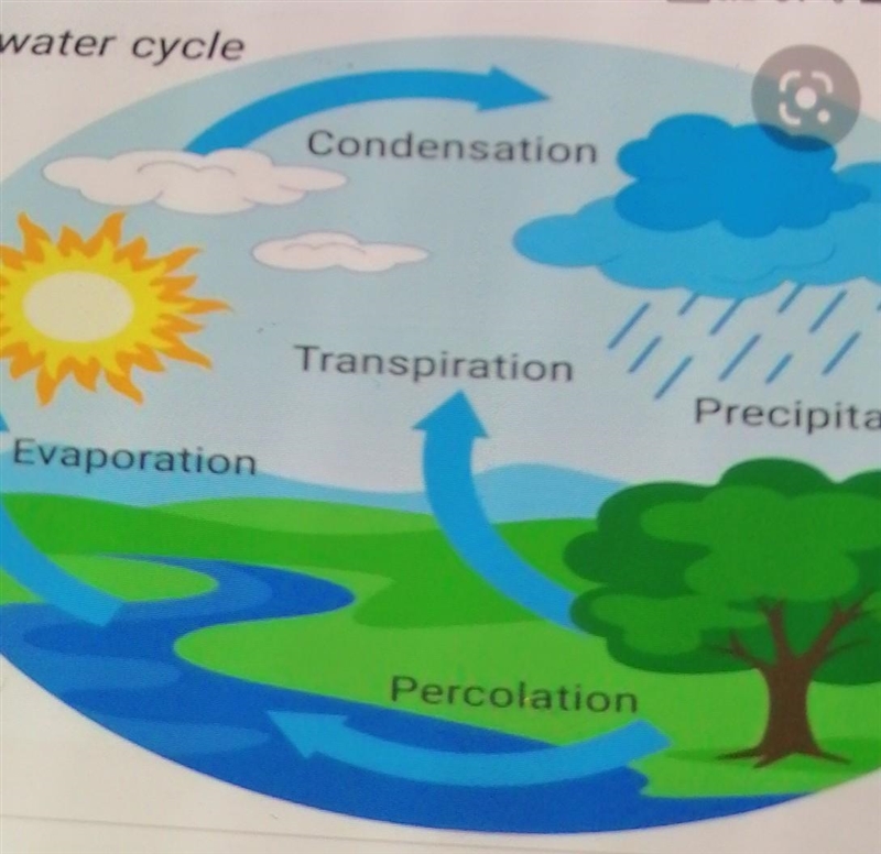 CAN SOMEONE PLEASE SEND ME A GOOD PICTURE OF A WATER CYCLE WITH ALL THE THINGS THAT-example-1