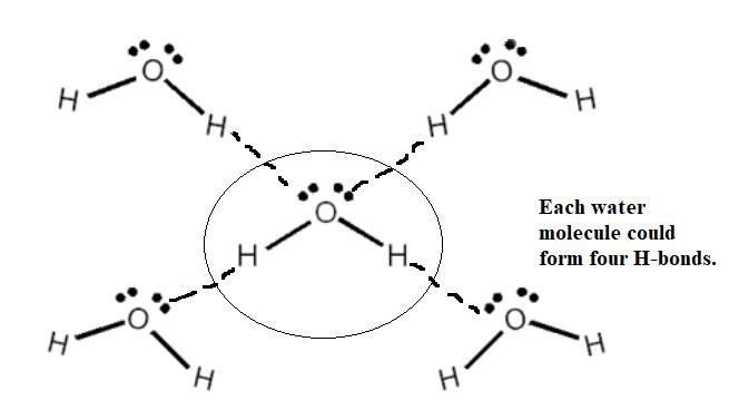 Explain the sharing of electrons between a water molecule that forms four hydrogen-example-1