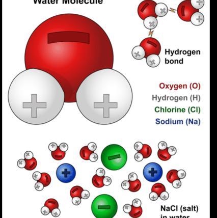 How does salt dissolves is water only?-example-1