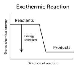 Which of the following is true of a reaction with a negative enthalpy? O A. The enthalpy-example-1