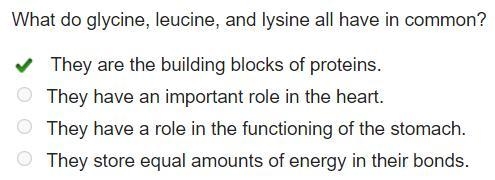 What do glycine, leucine, and lysine all have in common? They are the building blocks-example-1