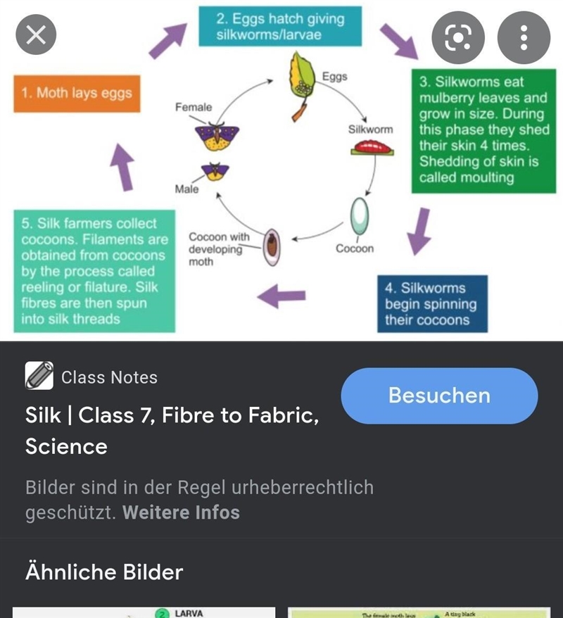 Draw the flow chart of production of silk from silk moth please help.... no links-example-2