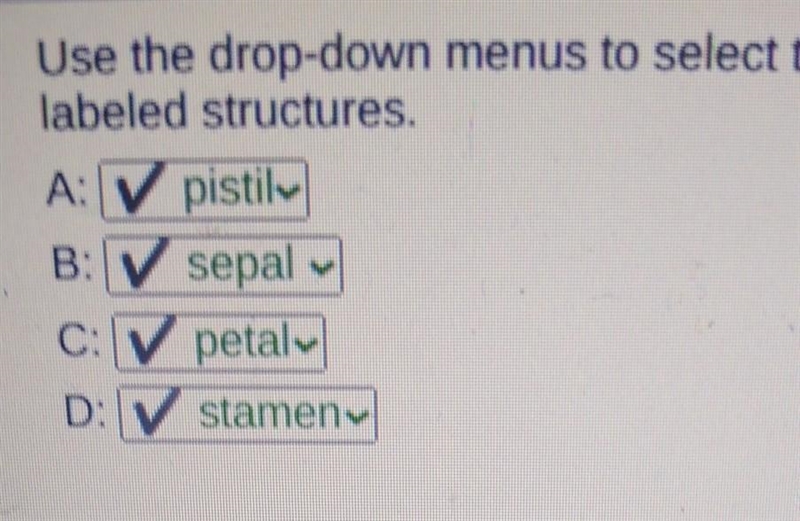 50 points Use the drop-down menus to select the names of the labeled structures. A-example-1