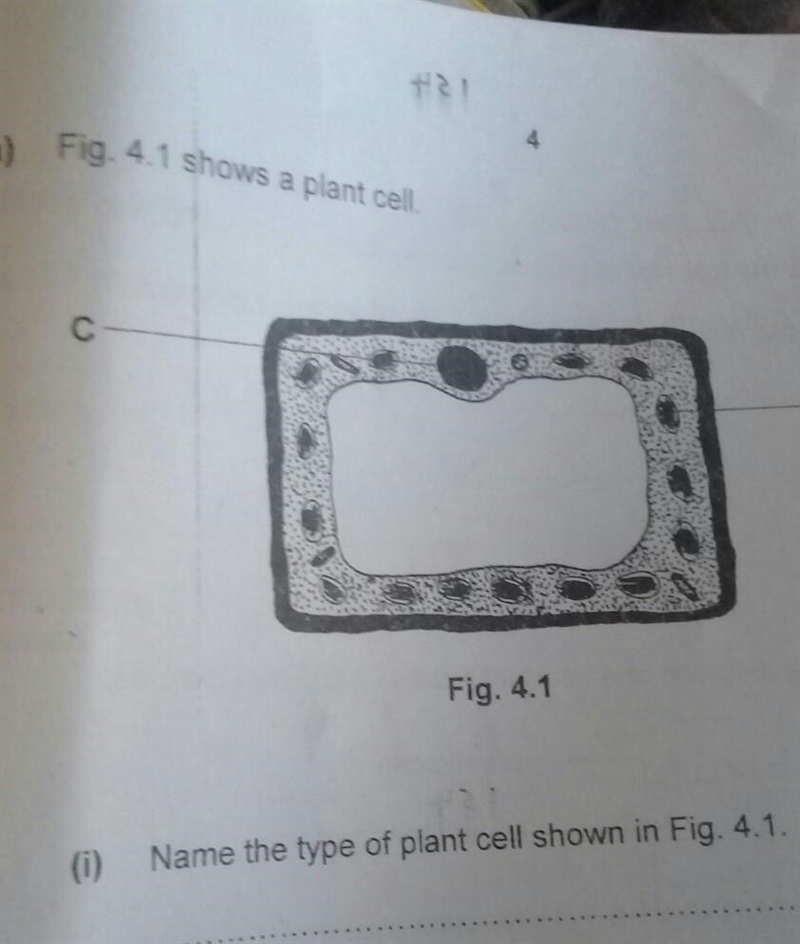 4.1 shows a plant cell. g For Examiner's Use n. C D Fig. 4.1 (i) Name the type of-example-1