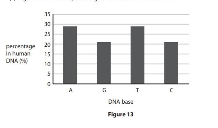 How does this data provide evidence for base pairing in dna-example-1