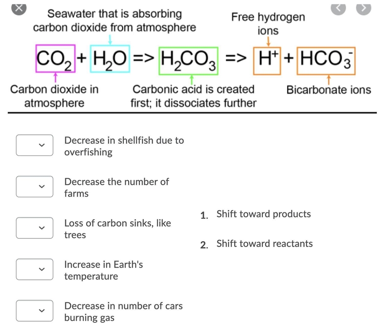 PLEASE HELP ASAP!! 100 PTS!! Match the environmental stresses to what would happen-example-1