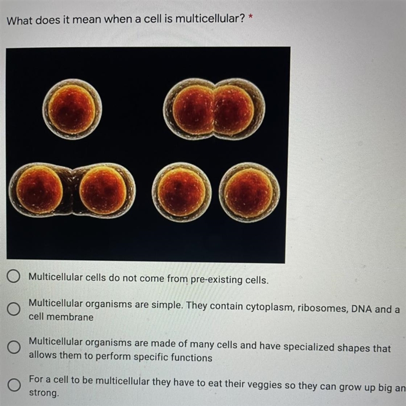 What does it mean when a cell is multicellular? I only have 5 minutes so please help-example-1