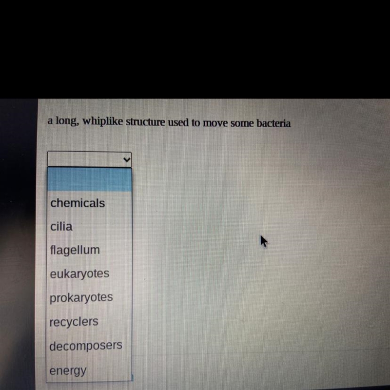 A long whiplike structure used to move some bacteria-example-1