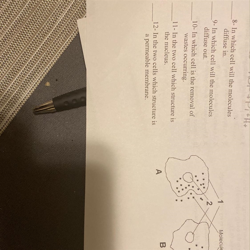 In which cell will the molecules diffuse out-example-1