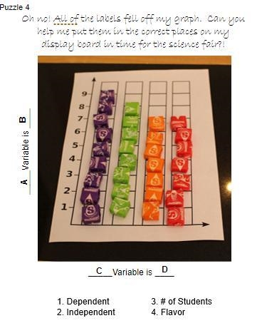 30 POINTS!!! Please Help With this!!!!-example-1