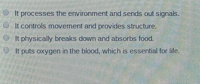 Which explains how the nervous system is typically involved in keeping the body in-example-1