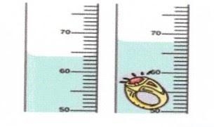 I RLLY NEED HELP. Use Image B (picture above) and calculate the density of a ring-example-1