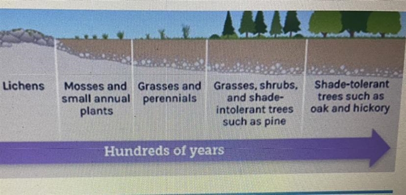 What is this picture an example of? A. carbon cycle B. nitrogen cycle C. water cycle-example-1