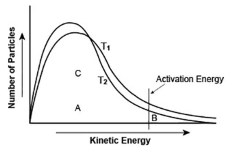 PLEASE HELP QUICK The graph shows the distribution of energy in the particles of two-example-1