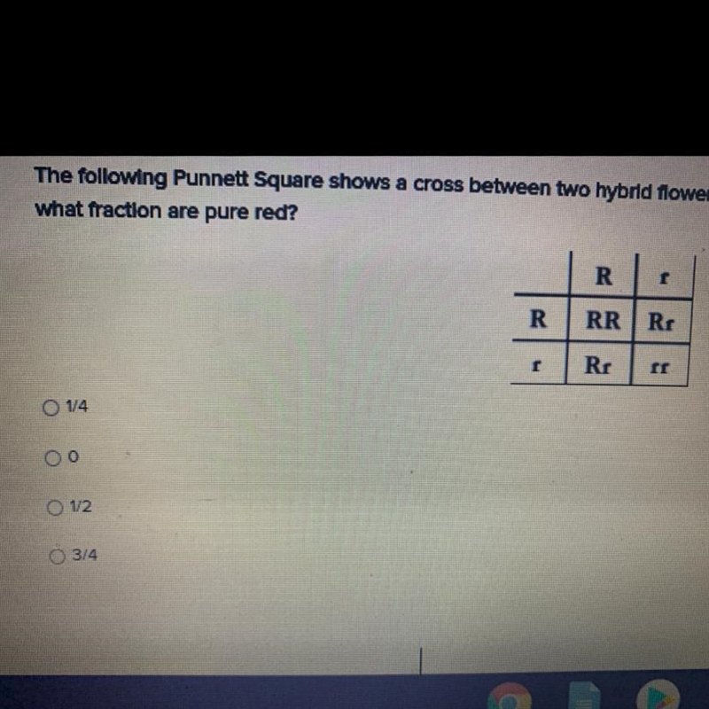 the following punnett square shows a cross between two hybrid flowers. if the flowers-example-1