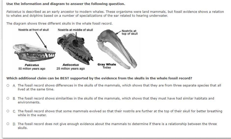 Which additional claim can be BEST supported by the evidence from the skulls in the-example-1