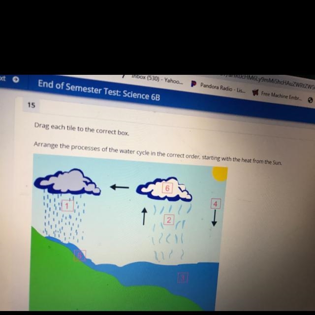 Drag each tile to the correct box, Arrange the processes of the water cycle in the-example-1