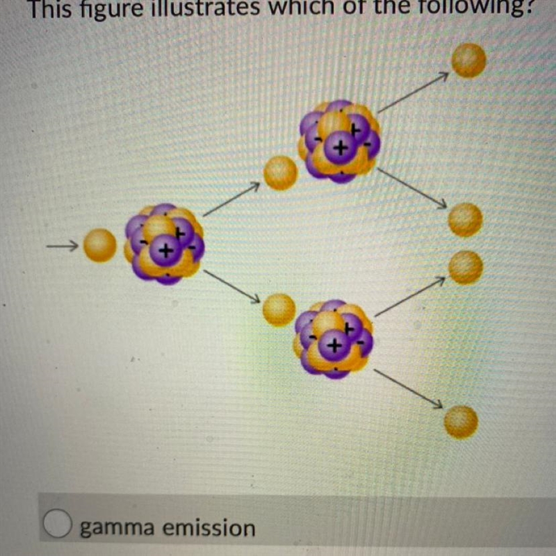 This figure illustrates which of the following? gamma emission fusion chain reaction-example-1