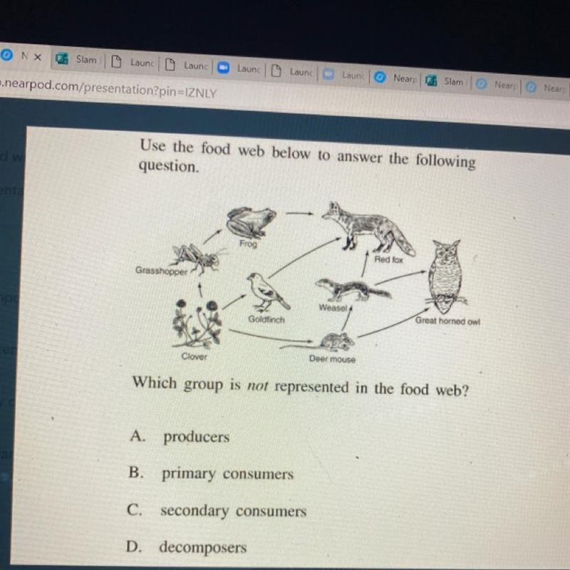 Use the food web below to answer the following question. Frog Red fox Grasshopper-example-1