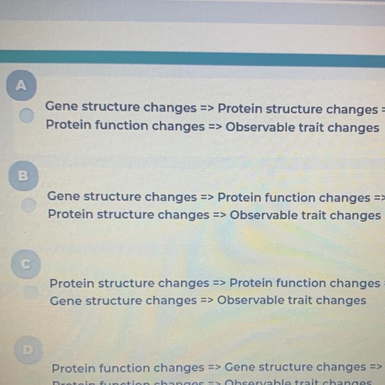 Which of the following best describes the relationship between a mutation and a resulting-example-1