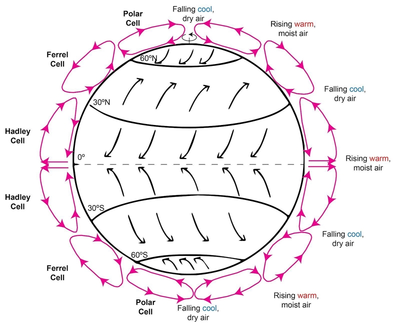 Which of the following would be the best caption for this image? A The Coriolis effect-example-1