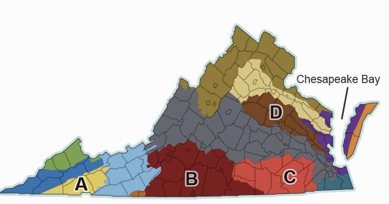 Which watershed drains into Chesapeake Bay? Label A Label B Label C Label D-example-1