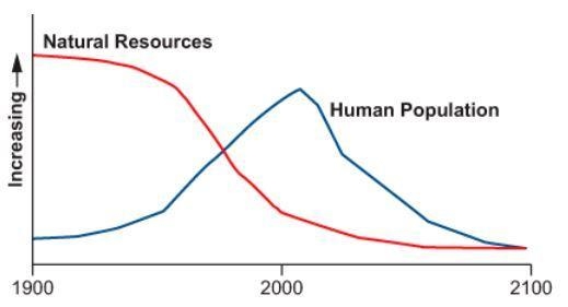 After studying many factors in the environment, a scientist developed this graph to-example-1