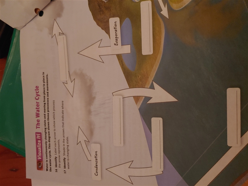 Water is continuously changing state and moving from place to place in the water cycle-example-1