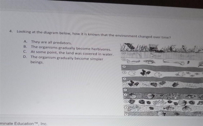 Help pls, it's a test about fossils? Looking at the diagram below, how it is known-example-1