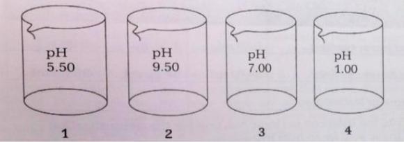 The four beakers above each contain 100.-mL of different solutions of similar concentrations-example-1