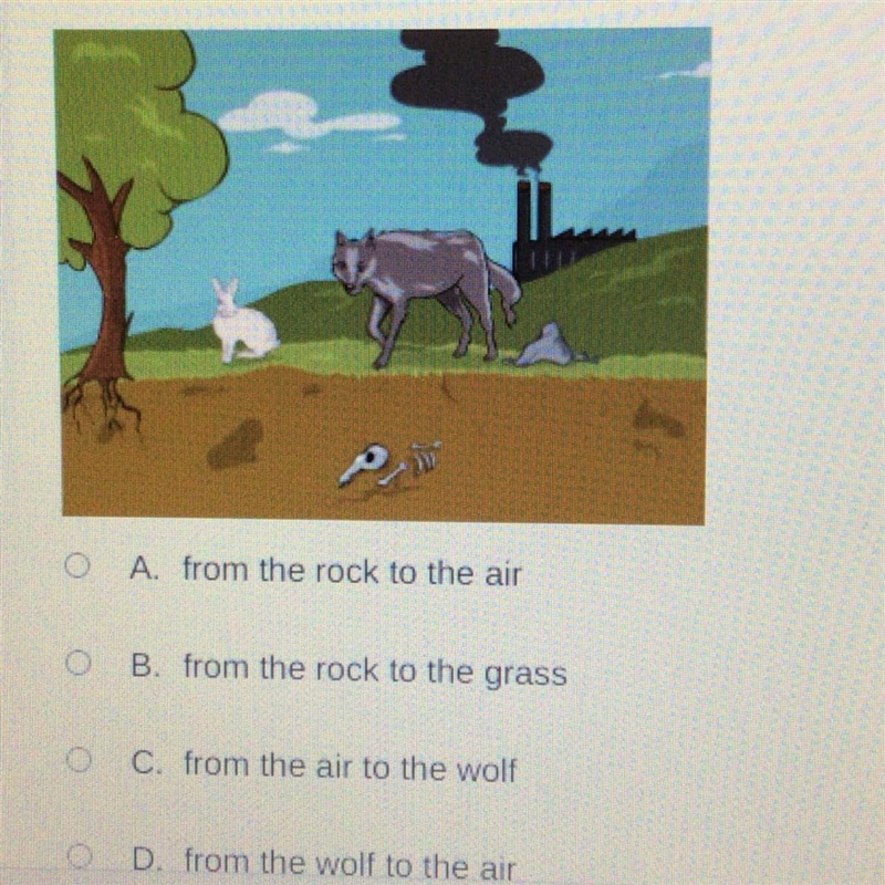 You are creating a carbon cycle poster in which direction would you draw arrows to-example-1