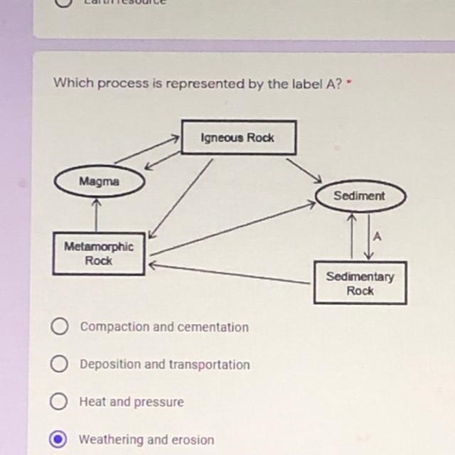 Which process is represented by the label a?-example-1