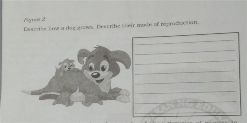 Figure 2 Describe how a dog grows. Describe their mode of reproduction​-example-1