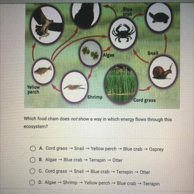 Can you pls help me out-example-1