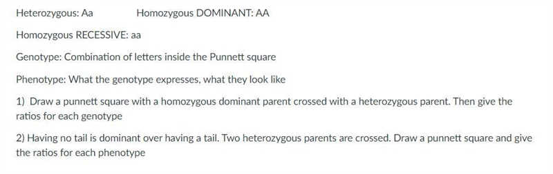 Hey sorry ive been struggling with Punnett square and online school is teaching me-example-1