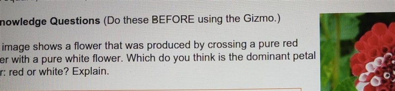 Please help me I will give you 10 points​-example-1