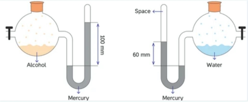 Alcohol and water are placed into closed-end manometer, in order to measure the vapor-example-1