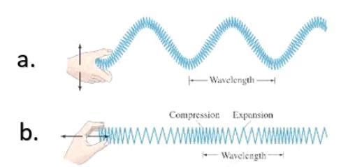 Which illustration represents a sound wave? A or B no link or i will report,plz help-example-1