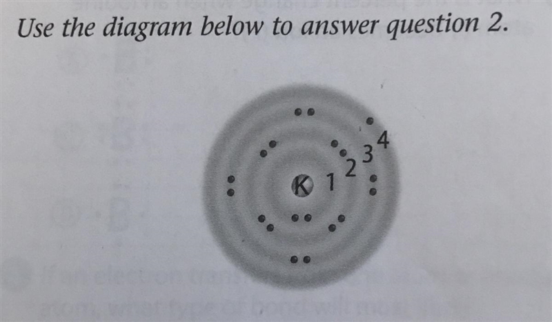 How many electrons does potassium, shown above, need to gain or lose to become stable-example-1